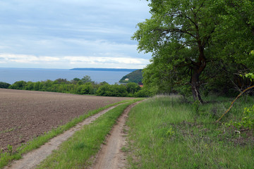 Fototapeta na wymiar Spring landscape with sea, trees, field, grass.
