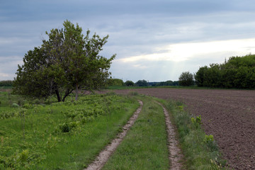 Fototapeta na wymiar Spring landscape of field, sky and clouds
