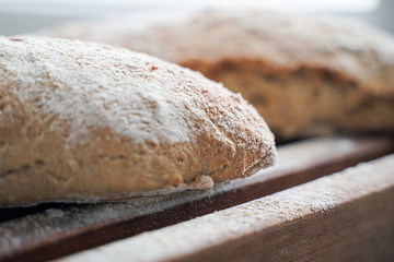 fresh homemade bread  in a bakery kitchen, rustic Italian, flare effect on the top right, bread supported by a female hand