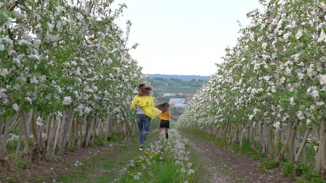 Beautiful young mom and her daughter in casual clothes in the garden with apple trees blosoming having fun and enjoying smell of flowering spring garden, they running along the trees