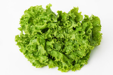 Fresh lettuce leaves - close up