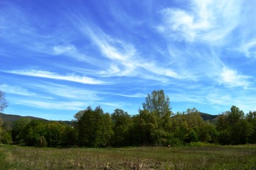Fototapeta na wymiar landscape of clouds in spring