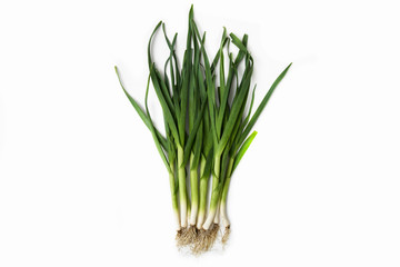 fresh green garlic - close up