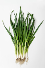 fresh green garlic - close up