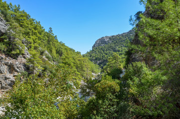 Fototapeta na wymiar Rocks and trees of the canyon Goynuk. Trekking in the Taurus Mountains, Lycian way Turkey.