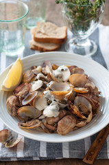 Steamed Clams or Shellfish with Cream Sauce