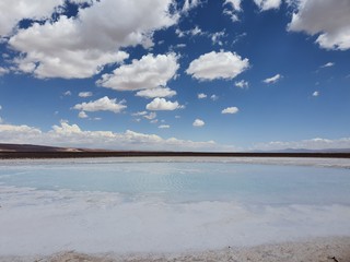 Salted Lagoons in San Pedro de Atacama, Chile.