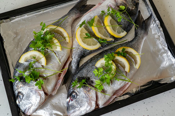 Fresh dorada fish with lemon and parsley on a baking sheet