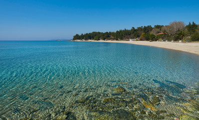 Clear water in Greece, Sithonia - 352968946