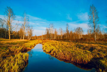 River in the forest in spring. Lepsari river, Leningrad region.