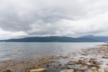 Seagull in cloudy sky. Seagull flying in cloudy sky. Seagull flying over fjord