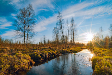 River in the forest in spring. Lepsari river, Leningrad region.