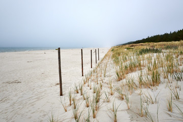 Dunes and sandy beach in Poland on the Baltic Sea