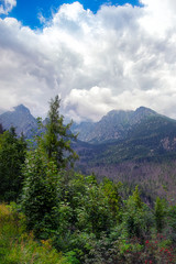 Summer in the Tatra mountains in Slovakia