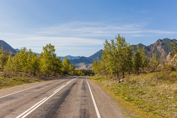 Fototapeta premium road to Altai Mountains, Altai region, Siberia, Russia.