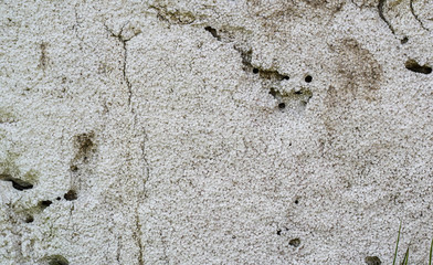 old concrete wall grunge texture. Dirty paint, vintage surface