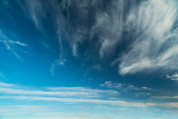 Obraz premium Feather clouds in the blue sky during the day.