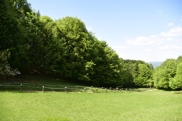 szlaki w Pienińskim Parku Narodowym 