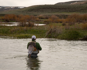 A man flying fishing on a wild trout stream in Wyoming.