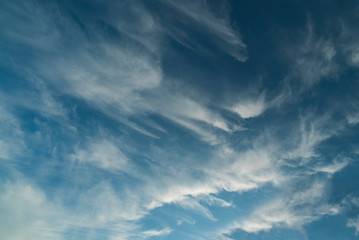 Obraz premium Feather clouds in the blue sky during the day.