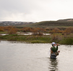 A man flying fishing on a wild trout stream in Wyoming.