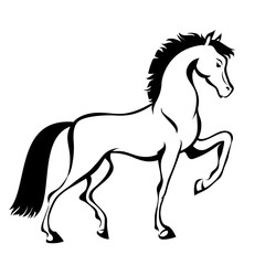 Naklejka na ściany i meble Horse, hand drawn vector stylized illustration