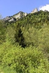 Trzy Korony w Pienińskim Parku Narodowym  © Albin Marciniak