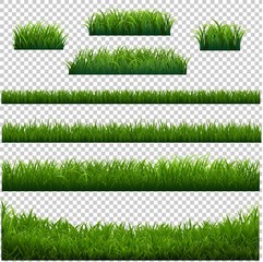 Obraz premium Green Grass Frame With Transparent Background