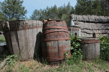 Old wooden barrels standing in the grass