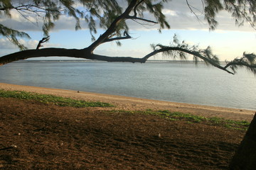 Plage &agrave; la R&eacute;union