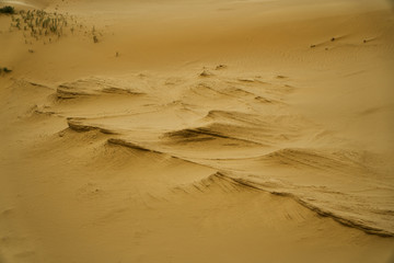 The texture of the sand. Waves of sand-hills. Desert and patterns. The Wallpaper is yellow and orange.