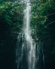Fototapeta na wymiar Hawaii Waterfalls