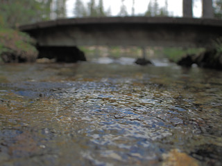 water trickle creek