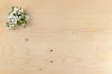 Wooden board for use as a background or texture with a cherry flower. Floral arrangement. Creative modern bouquet, minimal holiday concept. Floral card, spring banner