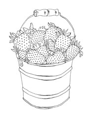 Vector doodle illustration of a strawberry in a bucket isolated on a white background. A sketch is suitable as a children's coloring. The drawing is hand-drawn using ink in a graphic style.