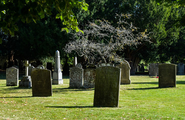 Headstones in Churchyard