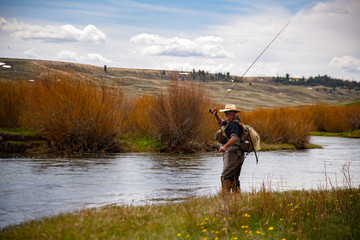 A single man fly fishing in the high country of Wyoming.