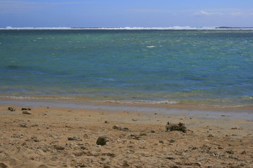 Corail sur une plage de la R&eacute;union 5