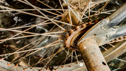rear wheel of an old bicycle