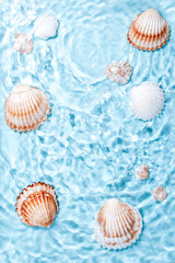 Obraz na płótnie Canvas Beautiful crystal clear water swirling and rippling, sea shells underwater. World ocean day card with shells and blue water