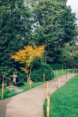 Fototapeta na wymiar Beautiful Garden with trees and bushes during autumn time, London, UK