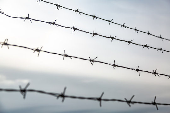 Barbed wire in several rows against the sky. Close-up. Horizontal orientation.