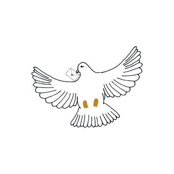 Simplified image of flying dove with love letter isolated on white. Hand drawn contoured pigeon. Vector illustration as a symbol of love or peace