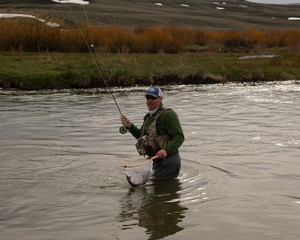 A man fly fishing on a wild trout stream in Wyoming.
