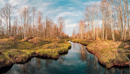 Fototapeta na wymiar River in the forest in spring. Lepsari river, Leningrad region.