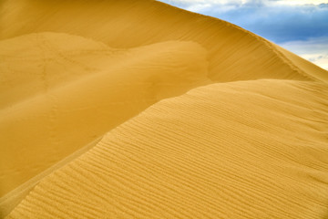 Yellow desert. Sand dunes. Blue sky and white clouds. Birds at sunset. Mountains of sand. The multi-colored sky. Feather clouds.