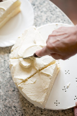 Sponge cake torte with cream 