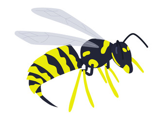 Vector illustration: wasp.