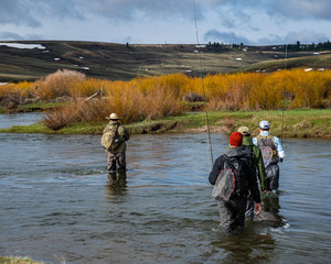 Four men walking through a cattle ranch to go fly fishing.
