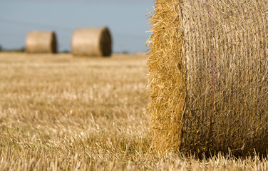 Straw bales in a field in summer with blue sky